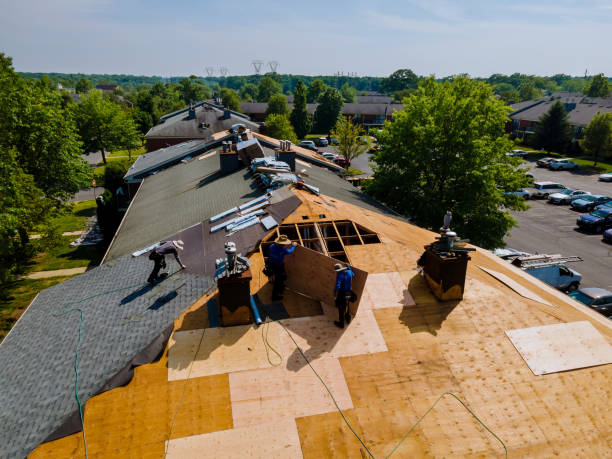Roof Repair Estimates in Wheat Ridge, CO