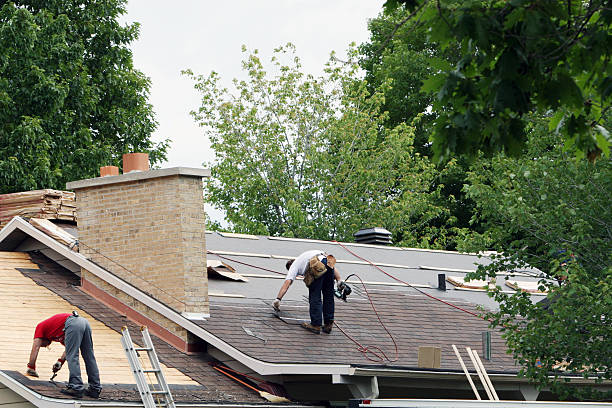 Best Metal Roofing Contractor  in Wheat Ridge, CO